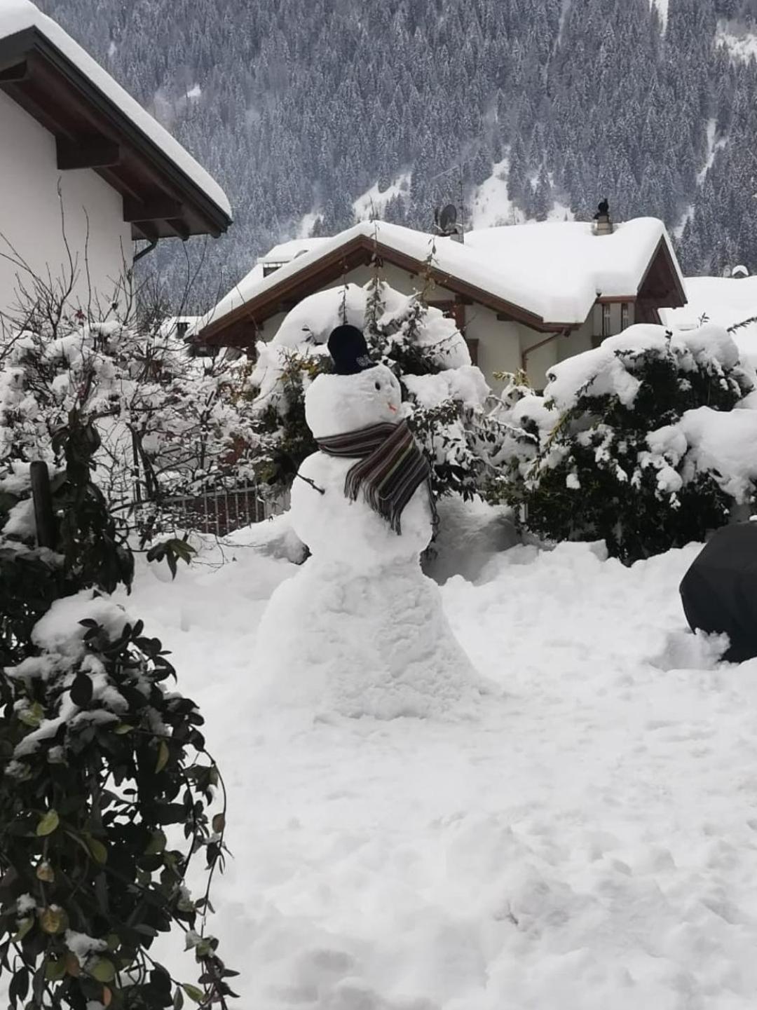 Appartamento Con Giardino Carisolo Dış mekan fotoğraf