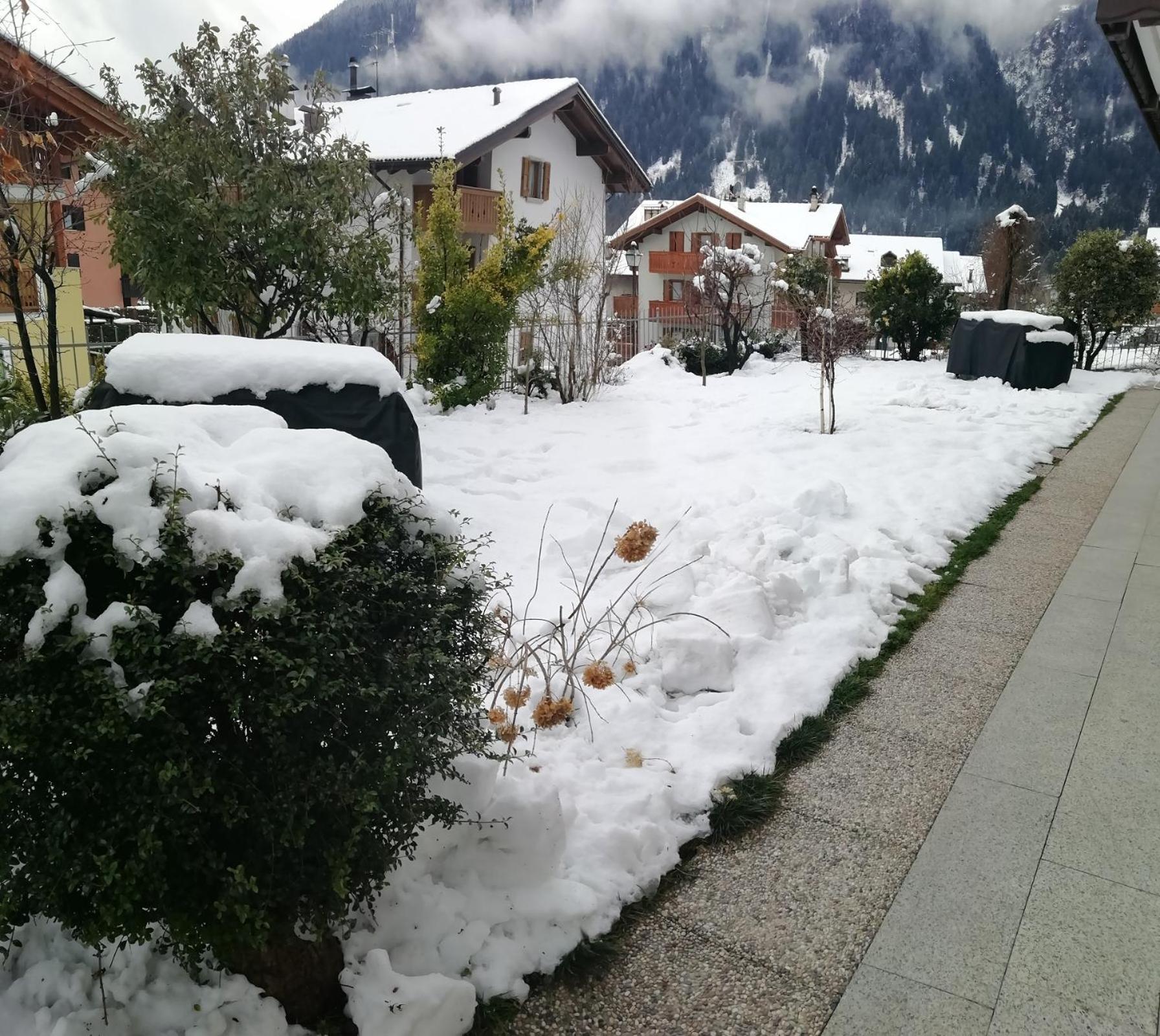 Appartamento Con Giardino Carisolo Dış mekan fotoğraf