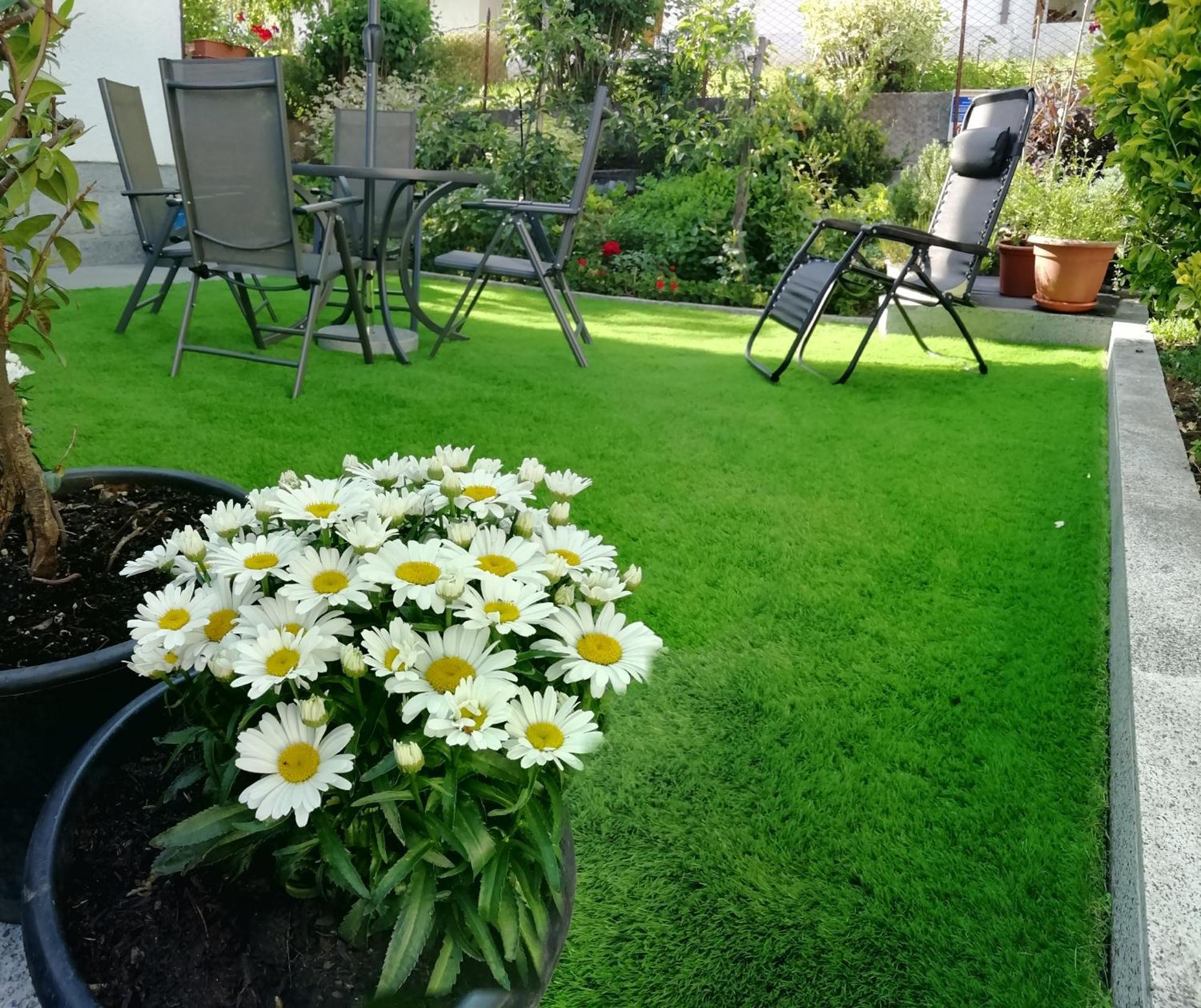Appartamento Con Giardino Carisolo Dış mekan fotoğraf